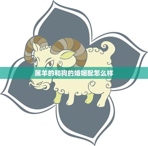 羊狗配|属羊和属狗的相配吗 属羊和属狗的合得来吗